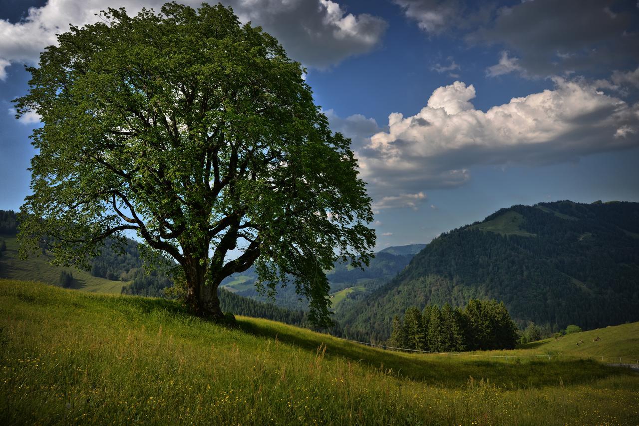 Berghues Schratt - Einfach Anders - Ihr Vegetarisches Und Veganes Biohotel Oberstaufen Zewnętrze zdjęcie