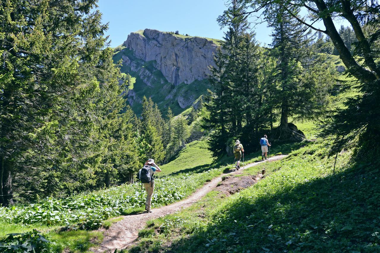 Berghues Schratt - Einfach Anders - Ihr Vegetarisches Und Veganes Biohotel Oberstaufen Zewnętrze zdjęcie