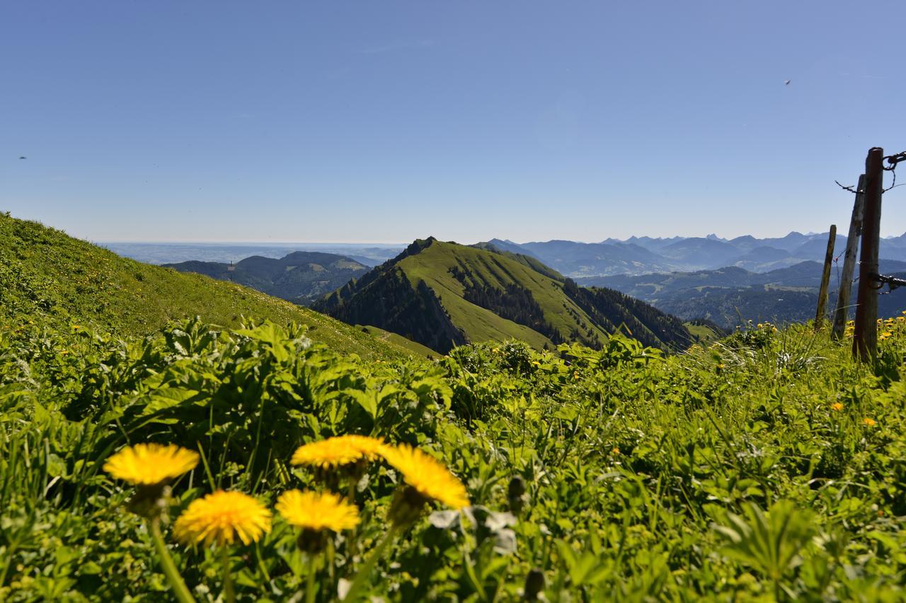 Berghues Schratt - Einfach Anders - Ihr Vegetarisches Und Veganes Biohotel Oberstaufen Zewnętrze zdjęcie